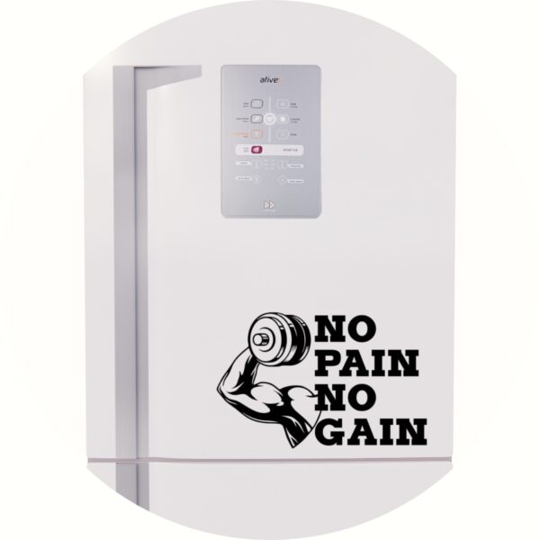 Adesivo de Casa No Pain No Gain