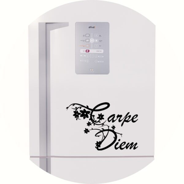 Adesivo de Casa Carpe Diem Aproveite o dia