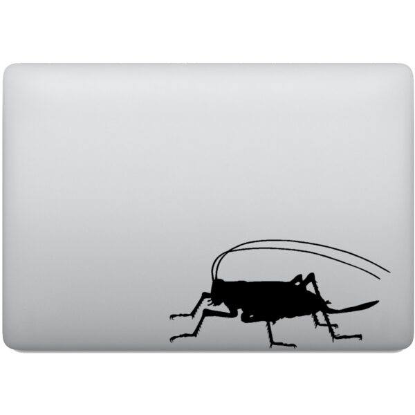 Adesivo de Notebook Grilo Inseto Gafanhoto