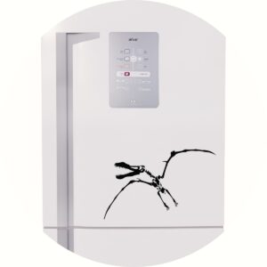 Adesivo de Casa Pterodáctilo Fóssil Dinossauro