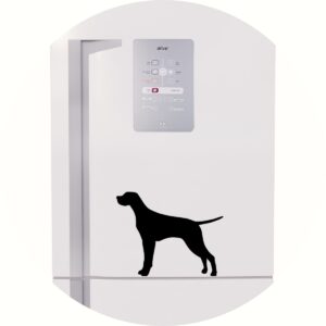 Adesivo de Casa Cachorro Pointer Cão De Caça