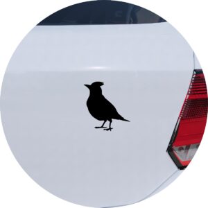 Adesivo de Carro Pássaro cardeal