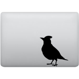 Adesivo de Notebook Pássaro Cardeal Cardinal