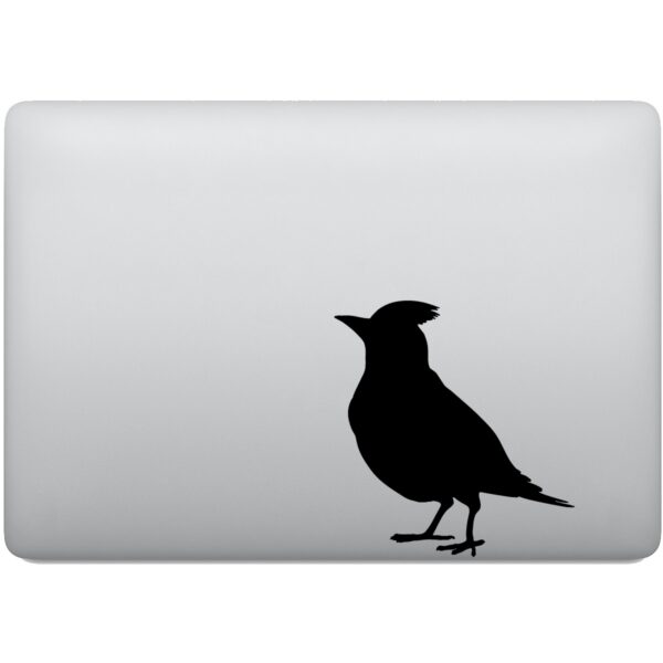 Adesivo de Notebook Pássaro Cardeal Cardinal