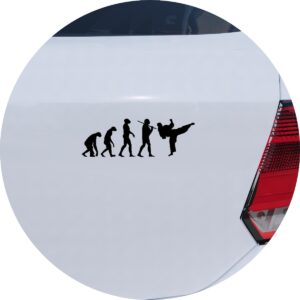 Adesivo de Carro Evolução da Luta Artes Marciais