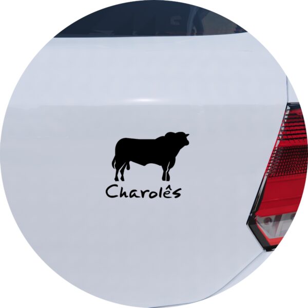 Adesivo de Carro Boi Gado Charolês Fazendeiro