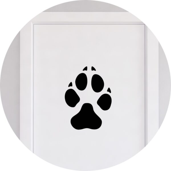 Adesivo de Casa Pata de Cachorro