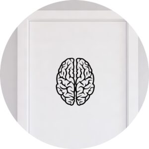 Adesivo de Casa Biologia Cérebro Humano