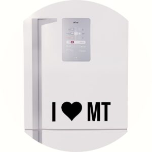 Adesivo de Casa Eu amo Mato Grosso - I Love MT