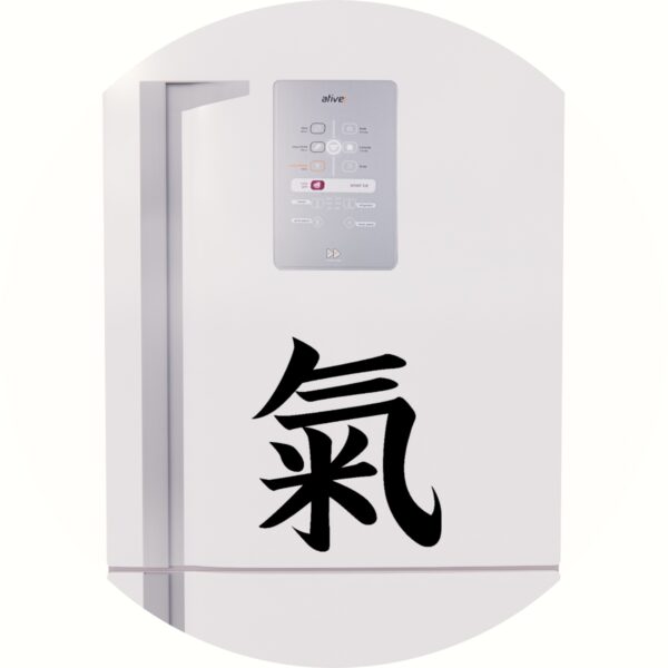 Adesivo de Casa Espírito Kanji Japonês