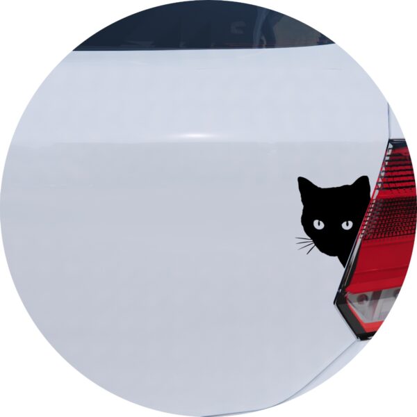 Adesivo de Carro Gato Espiando