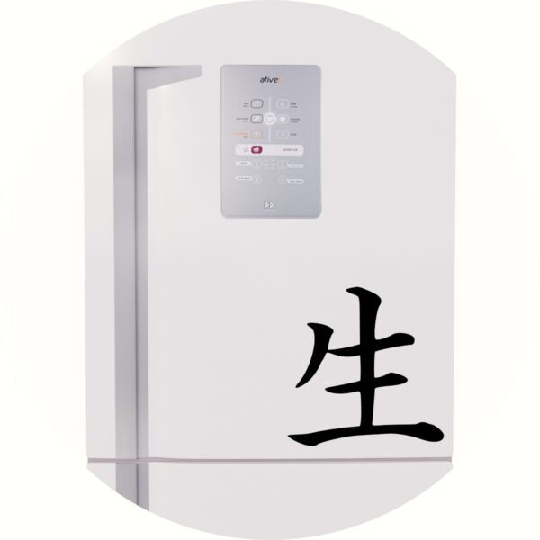 Adesivo de Casa Vida Kanji Japonês